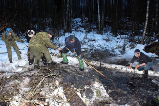 Поисковики Ленинградской области провели поисковые работы на местах боев Волховского фронта
