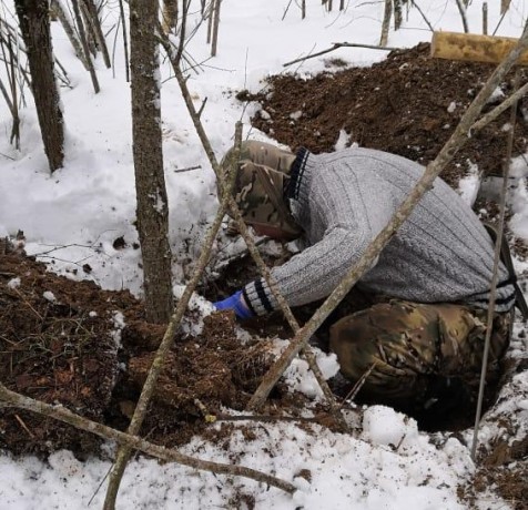 Двух неизвестных красноармейцев обнаружили поисковики отряда «Пионер» в Ржевском районе