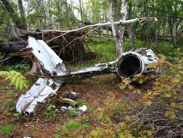 Сахалинские поисковики выяснили обстоятельства лётных происшествий, произошедших в 1950-х годах