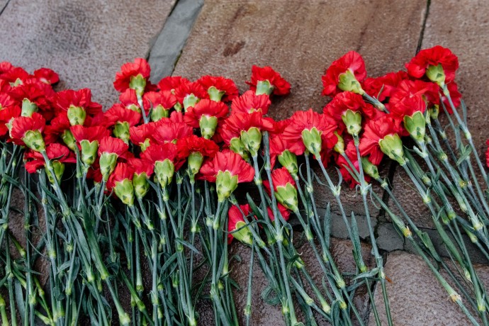На Федеральном мемориальном кладбище Министерства обороны поисковики передадут останки восьми красно