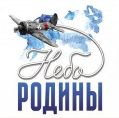 Место гибели штурмовика Ил-2 обнаружили поисковики отряда «Пионер»