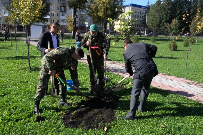 В Кемерово высадили липы на Аллее Неизвестного солдата