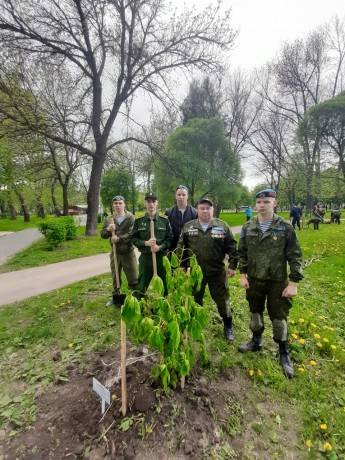 В Ярославле стартовала межрегиональная патриотическая акция «Солдатский лес»